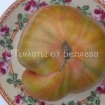 Семена томатов от частных коллекционеров Томат Конфеты Вирджинии
