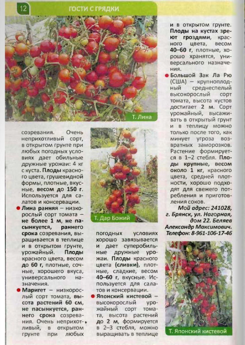 Статьи о томатах Беляева Александра Максимовича