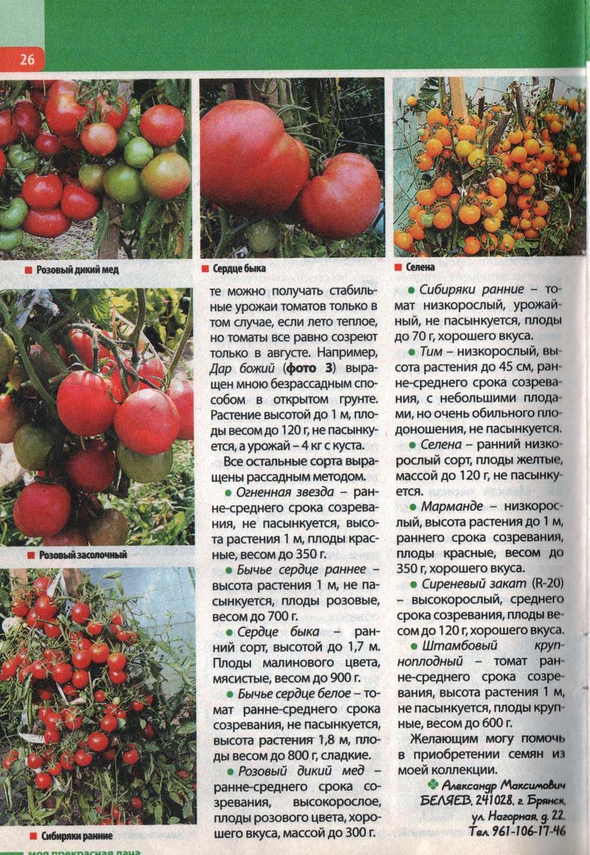 Статья о томатах Беляева Александра Максимовича