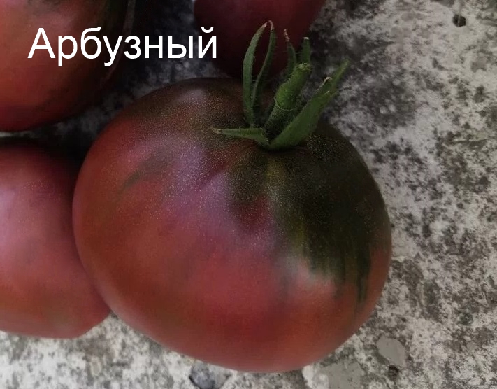 Томат Арбузный - описание, купить, семена от производителя, отзывы, характеристика, фото, семена томатов от частных коллекционеров