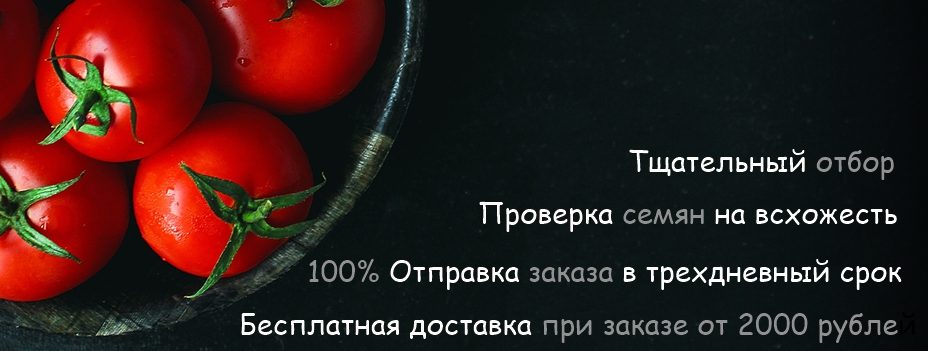 Магазин семян томатов: здесь можно купить семена томатов