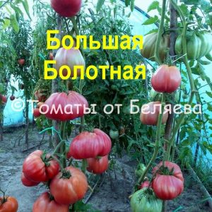 Розовые (5)