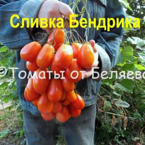 Высокие 7